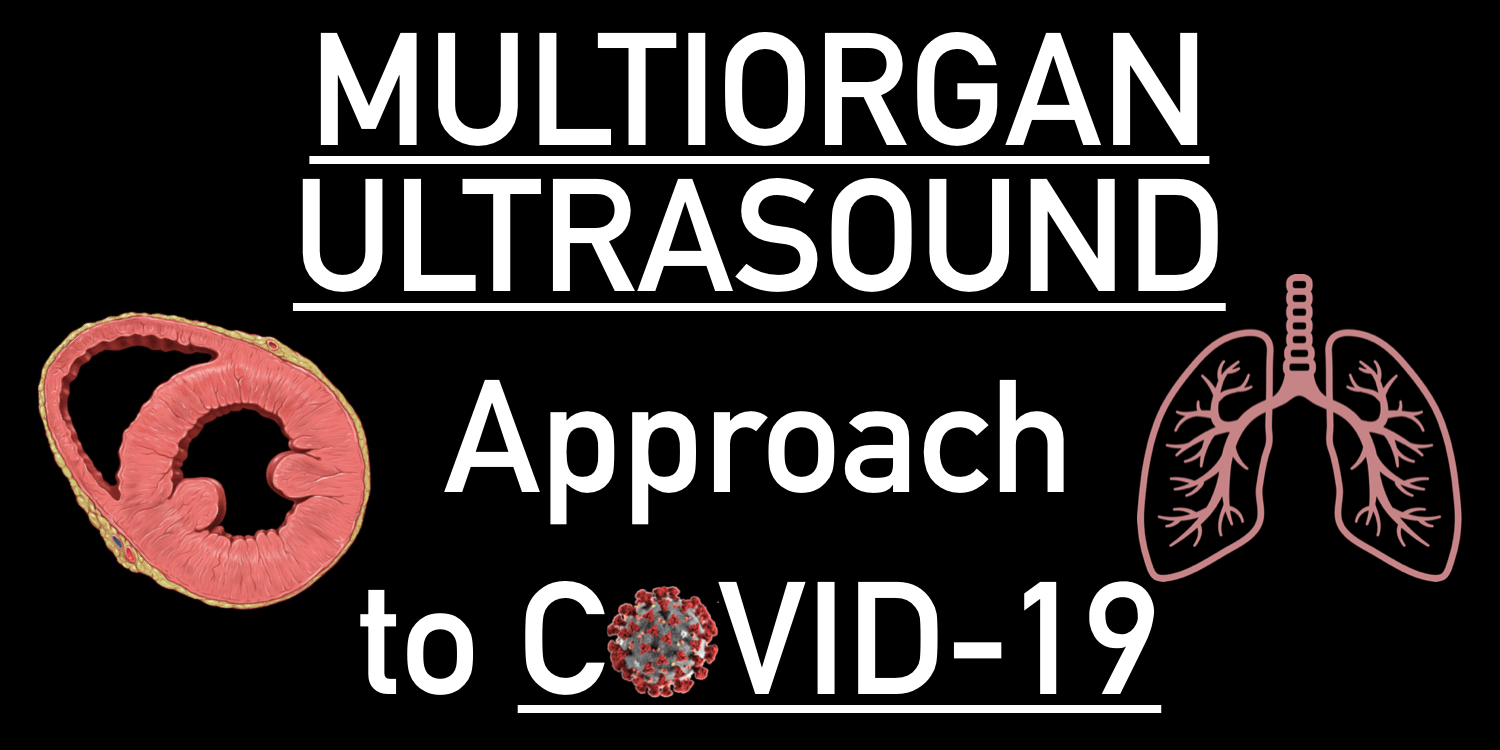 Multiorgan Ultrasound Approach to COVID-19