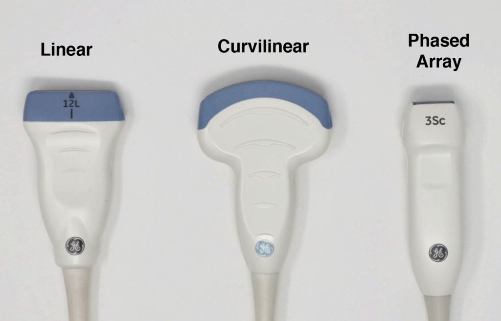 Most Common Ultrasound Probes - Linear, Curvilinear, and Phased Array