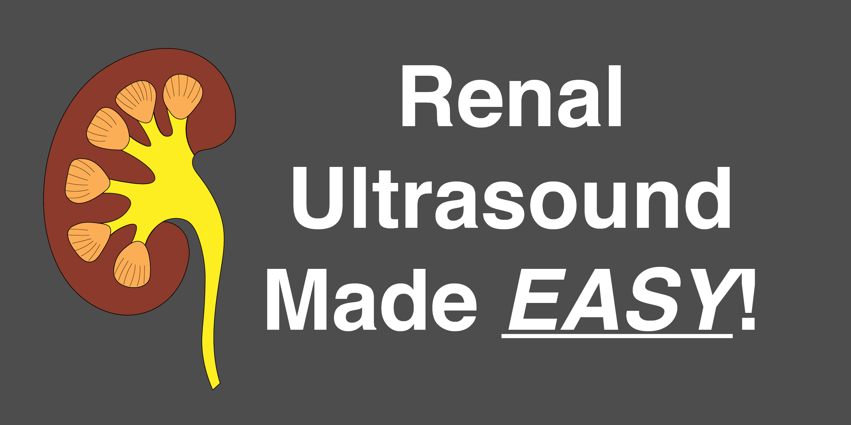 damaged kidney ultrasound