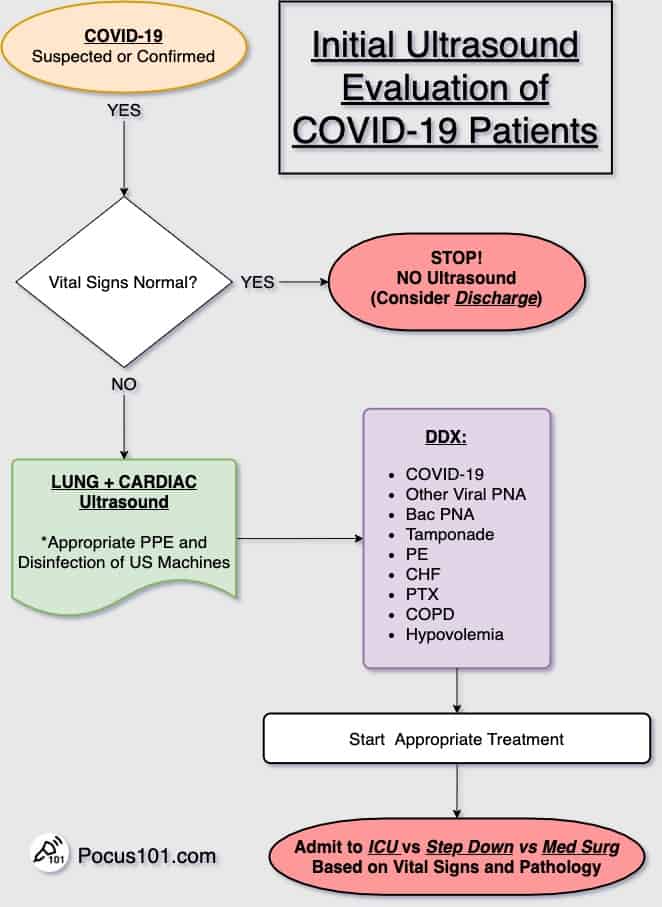 Lung Ultrasound Covid Algorithm - Initial Assessment
