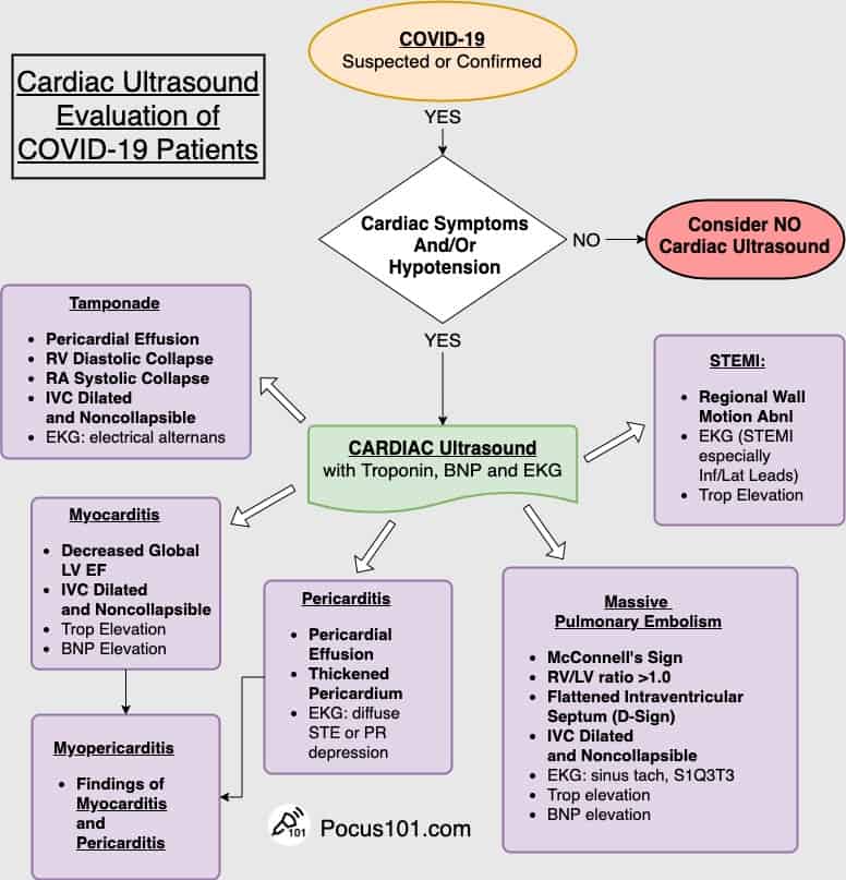 Cardiac Ultrasound Covid Algorithm 2