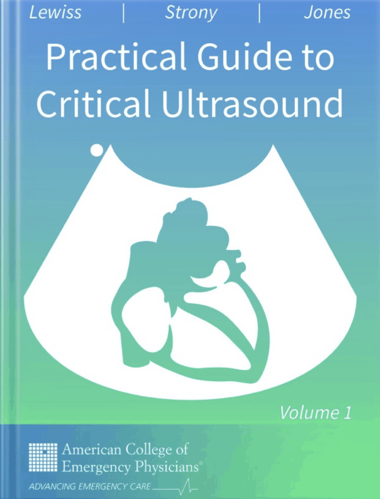 Practical Guide to Critical Ultrasound Volume 1