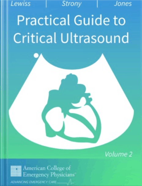 Practical Guide to Critical Ultrasound Volume 2