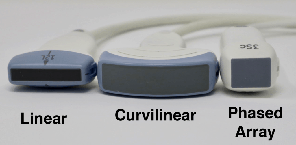 Footprint Size - Linear, Curvilinear, Phased Array Ultrasound Probes