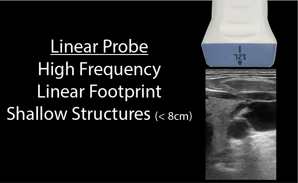 Linear Ultrasound Probe