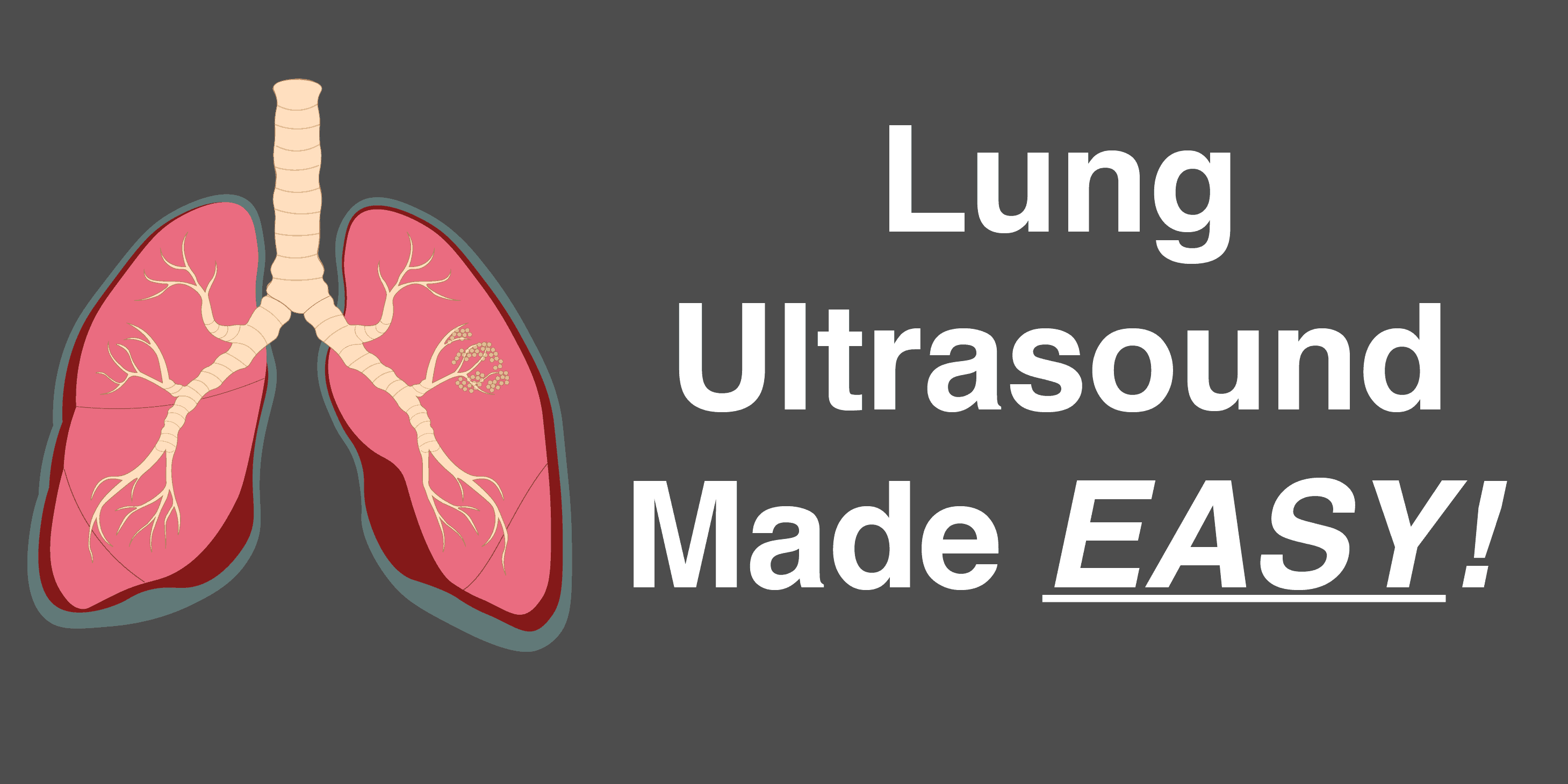 Lung Ultrasound Made Easy: Step-By-Step Guide - POCUS 101