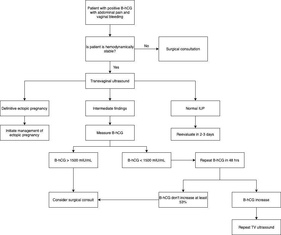 Ectopic Pregnancy Algorithm OB Obstetric Obstetrical Ultrasound