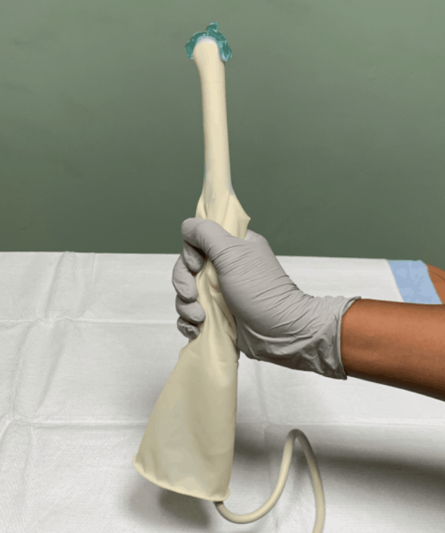 vaginal ultrasound transducer