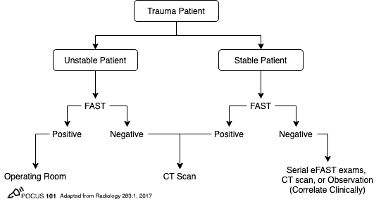 eFAST Algorithm FAST scan Ultrasound Trauma